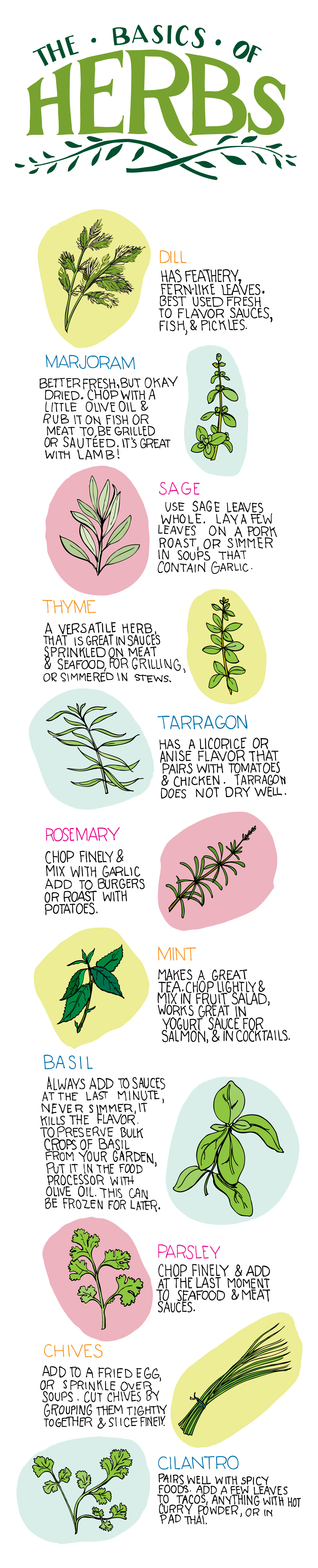 Culinary Herb Chart
