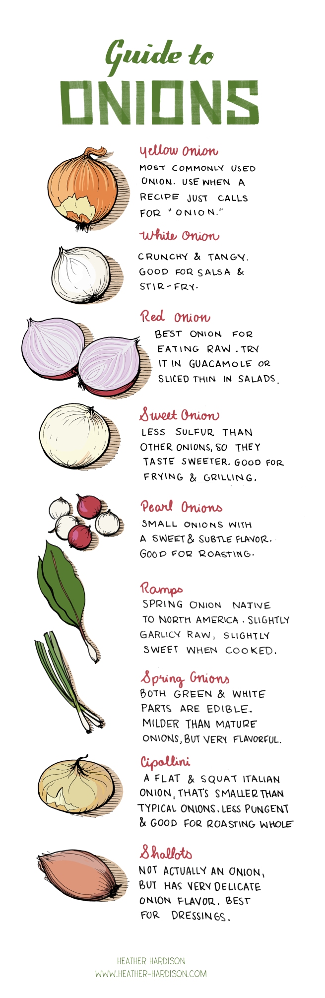 Guide to Onions